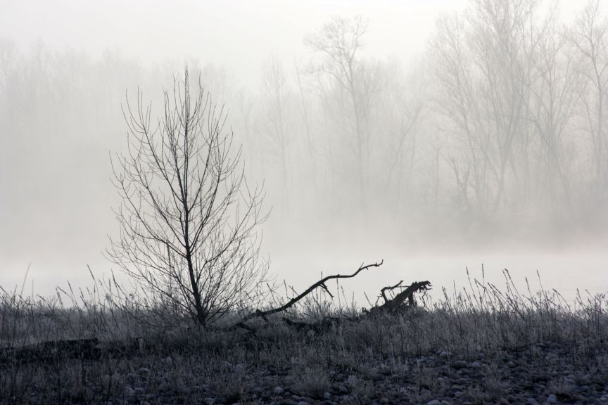 il fiume , la nebbia, l''inverno....